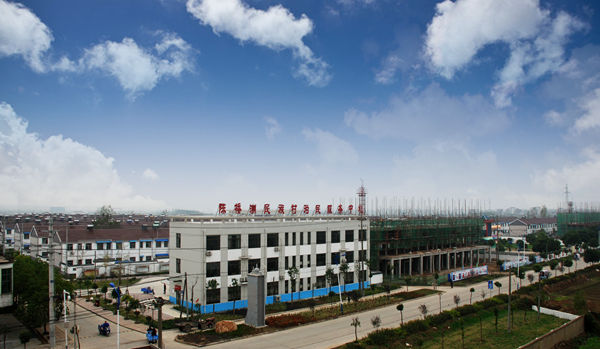 ֣�Ѹ��������Ĵ幫�����׽���