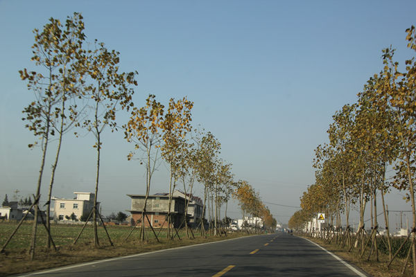  ֣�Ѹ��������ͳ��򻯿ռ䲼��