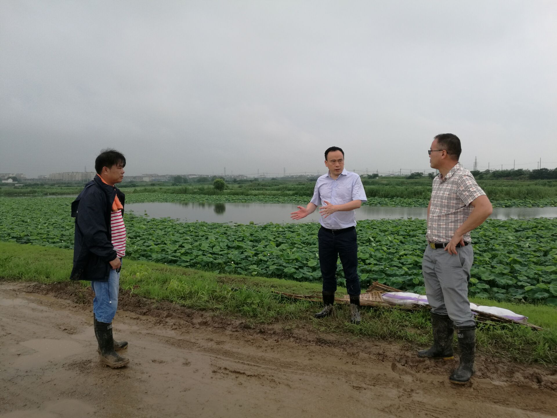 ������ί�����θ��������Ѵ����