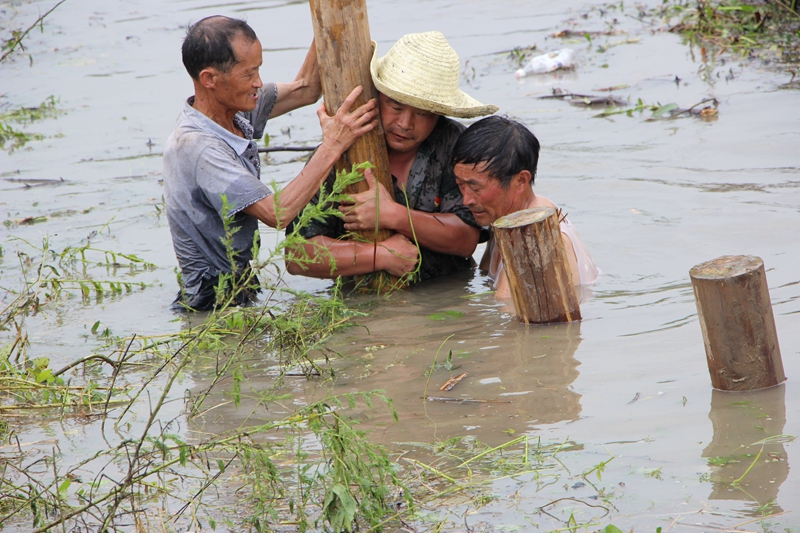  ֣�Ѹ���������Ⱥ�벿�ӹٱ���ͬ������������ 