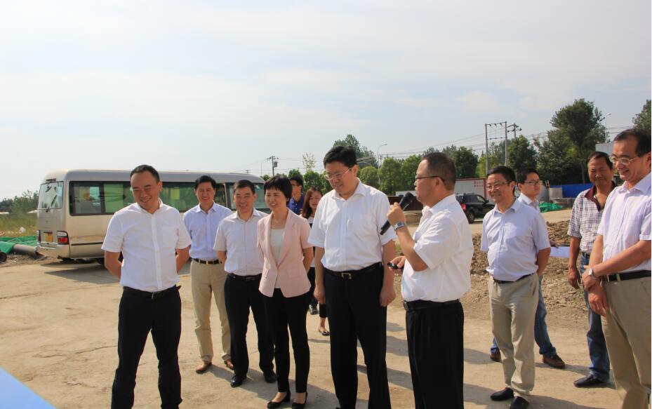 κҢ�������������