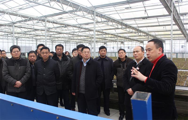 ֣�Ѹ������Ӵ���ɽ������������һ�п������